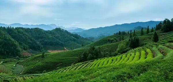 穿越軍-武夷山親子毅行