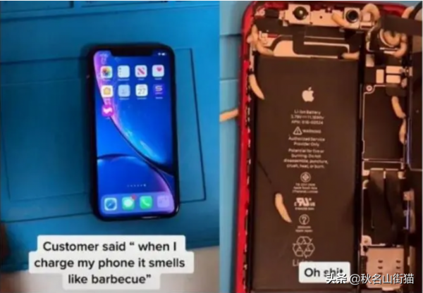 iPhone充電飄烤肉味 開啟背蓋巨肥蛆蟲蠕動