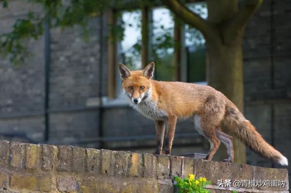 20 種方法,讓走路成為最好的鍛鍊 20 種方法,讓走路成為最好的鍛鍊