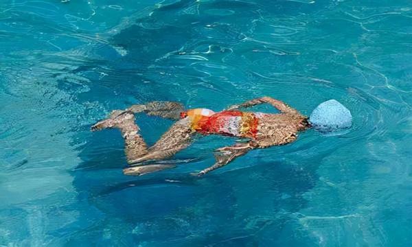 保護頸椎腰椎的實用技能，久坐上班族必看