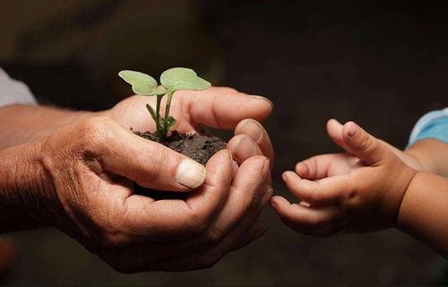 讀《外婆的道歉信》：小孩子才不需要童話，需要的是大人