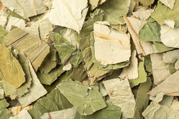 荷葉又被稱“芙蓉”，沒想到營養價值這麼高，3種美味吃法超實用