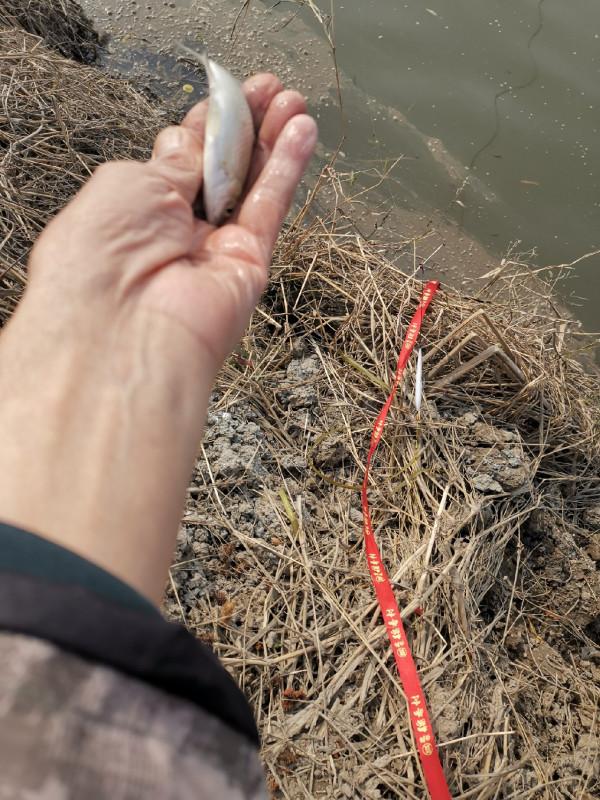 惡劣天氣也阻擋不了釣魚人的腳步，餵魚時刻準備著……