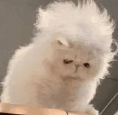 武大戀愛課爆火,“窗戶上都掛滿了人”,授課教師:這是對愛情的渴望 武大戀愛課爆火,“窗戶上都掛滿了人”,授課教師:這是對愛情的渴望