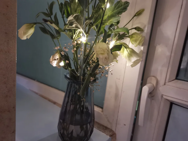 快來看看西希的寢室有多美