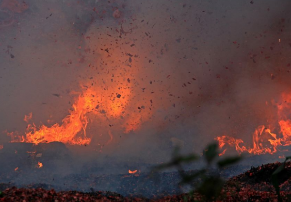 軍人的奇特經歷：四隻猴子火燒敵營，助他順利衝出包圍圈