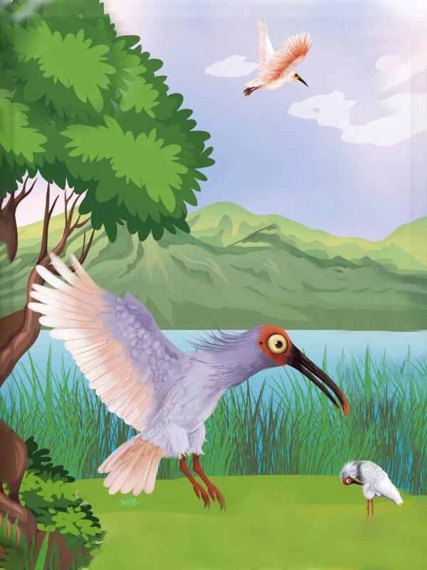 人與自然和諧共生教育:朱䴉(上) 人與自然和諧共生教育:朱䴉(上)