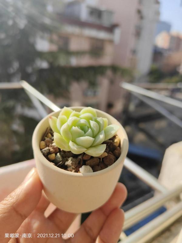 最近降溫，大家注意保暖哦