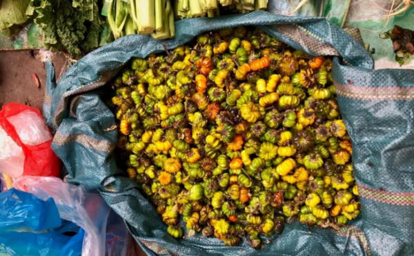 南方人逛雲南農村菜市場，朋友圈曬照卻火了，網友：一種都不認識