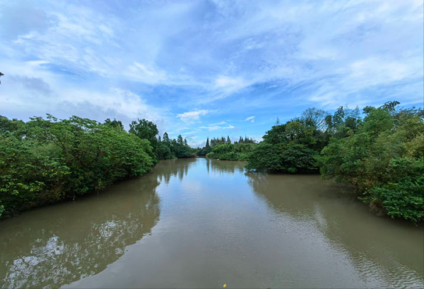 華為P50 Pro詳細體驗分享(上) 華為P50 Pro詳細體驗分享(上)