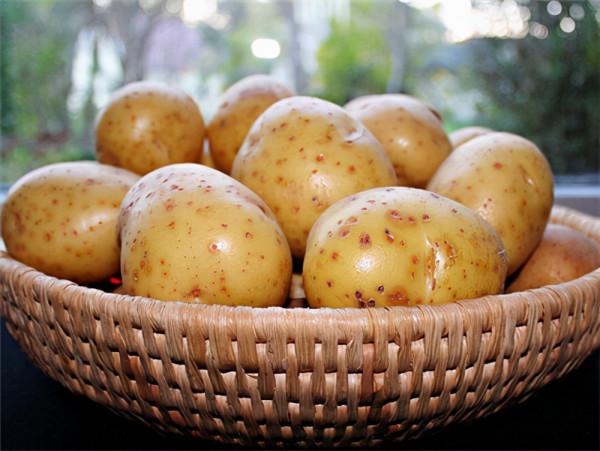 才知道，“黃皮土豆”和“白皮土豆”區別這麼大，可別再買錯了