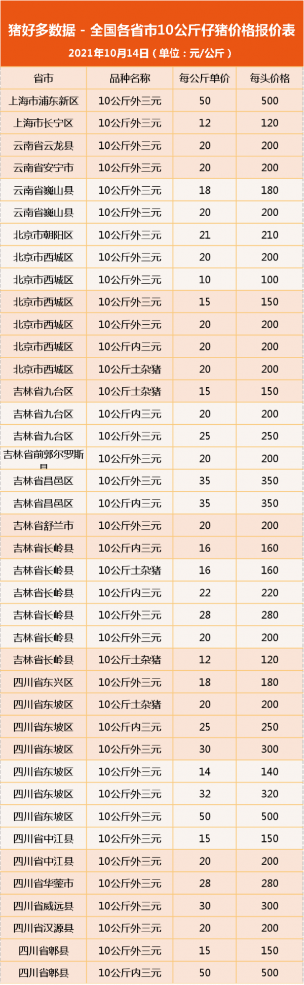 10月13日10公斤仔豬價格：豬價上漲至成本線？仔豬補欄為時尚早？