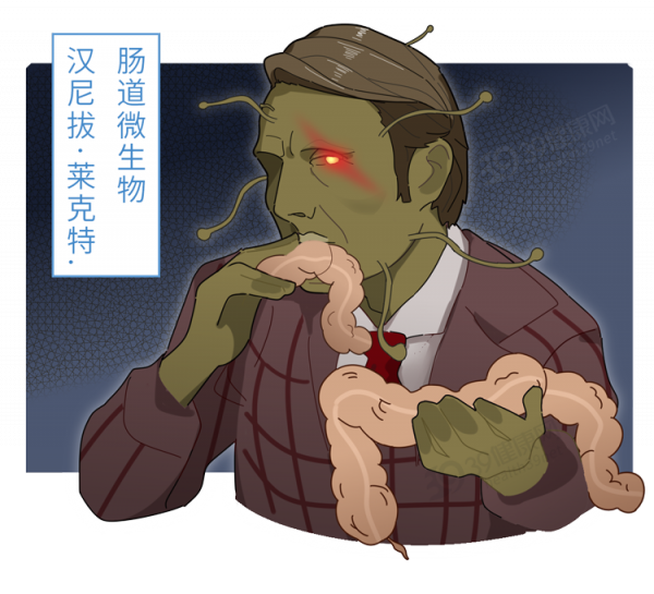 什麼是膳食纖維?《柳葉刀》點名表揚:可降低死亡風險,延長壽命 什麼是膳食纖維?《柳葉刀》點名表揚:可降低死亡風險,延長壽命