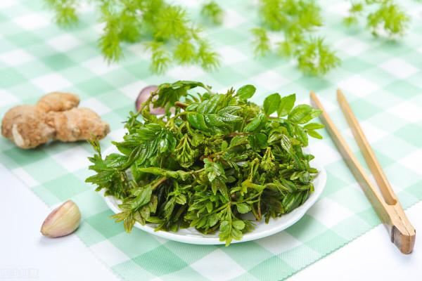 山上生長的嫩芽子，賣30元1斤，被列為宮廷貢品，城裡人少有認識