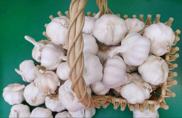 大蒜被稱為“清道夫”，吃大蒜的這幾個好處你知道了嗎？