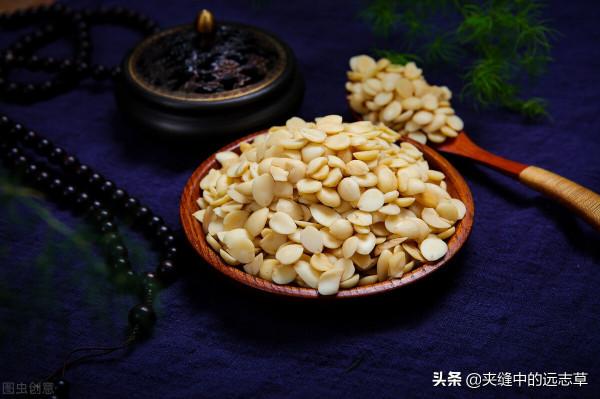 骨質增生各種痛?四味中藥,祛風除溼,緩急止痛,改善骨質增生 骨質增生各種痛?四味中藥,祛風除溼,緩急止痛,改善骨質增生