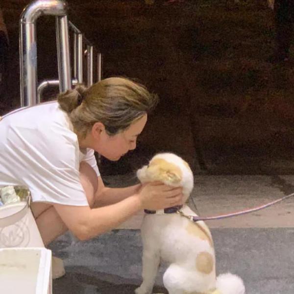 上學途中偶遇流浪狗，小男孩忽然上前給了一個“愛的抱抱”，……