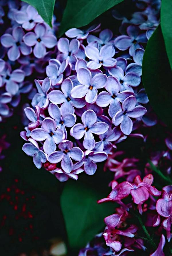 淡泊寧靜 守住人生最美風景