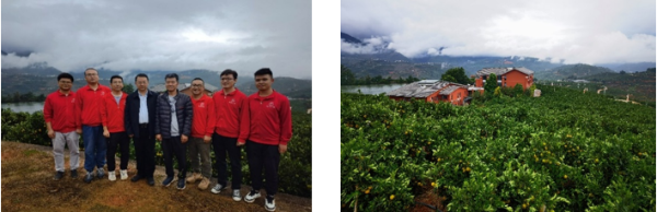 中國農業大學雲南褚橙科技小院揭牌 中國農業大學雲南褚橙科技小院揭牌