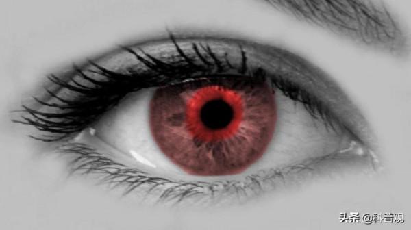 人類眼睛的秘密：人眼畫素高達5.76億，這到底意味著什麼？