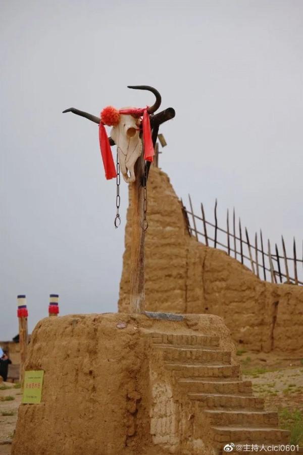 陝西旅行博主帶您玩轉神奇寧夏