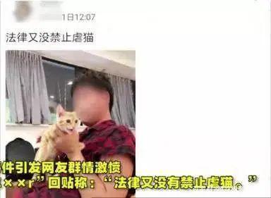 大學生虐殺80只貓事件後續：人渣，永遠都不配為人