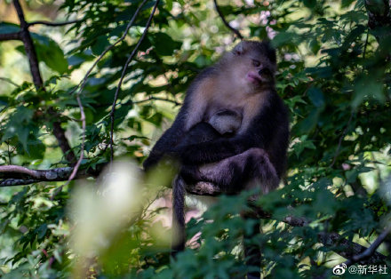 走進世界的香格里拉 走進世界的香格里拉