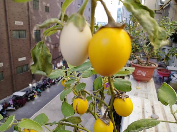 奚夢瑤本人發文曬照宣佈再得一女的好訊息