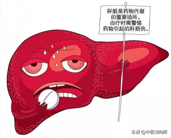 肝好人不倒！從這五個地方判斷肝受損程度