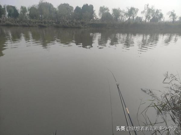 釣魚人最後的倔強