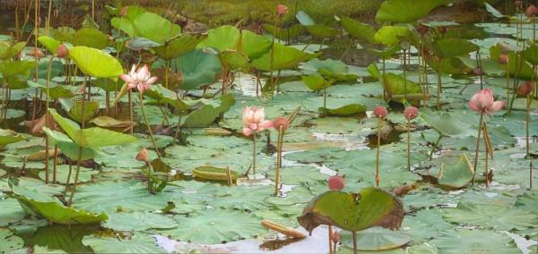 喬克·弗裡瑪的寫實作品欣賞