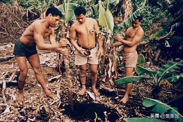 6名男孩乘船漂流被困荒島，團隊協作生活了一年多才獲救