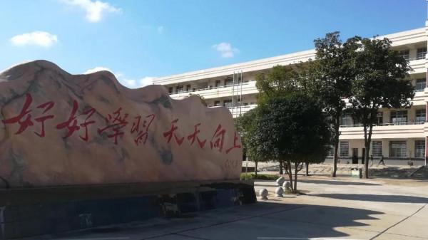 小學生留級:落花有意,流水無情 小學生留級:落花有意,流水無情