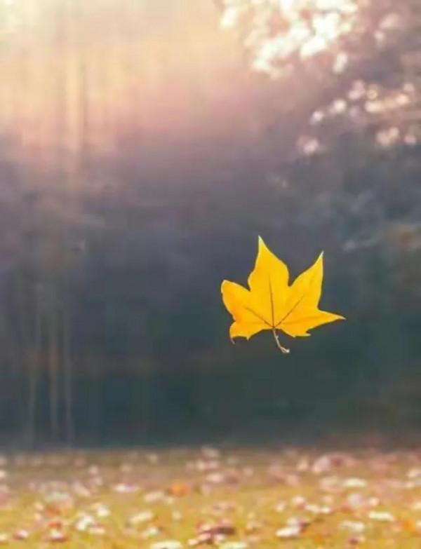 現代詩|詩與無題 現代詩|詩與無題