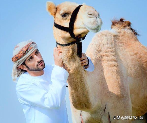 迪拜71歲國王抱著孫兒孫女出鏡,眼神望向孫兒,龍鳳胎地位差別大 迪拜71歲國王抱著孫兒孫女出鏡,眼神望向孫兒,龍鳳胎地位差別大