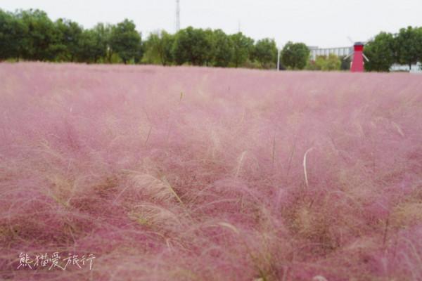 蘇州平望，因京杭古運河而生的別樣江南水鄉，3天2晚這麼玩