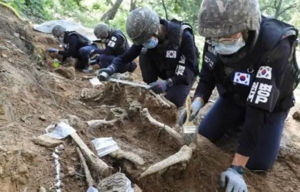 英雄魂歸故里，志願軍遺骸是如何找到的？過程比想象中艱難