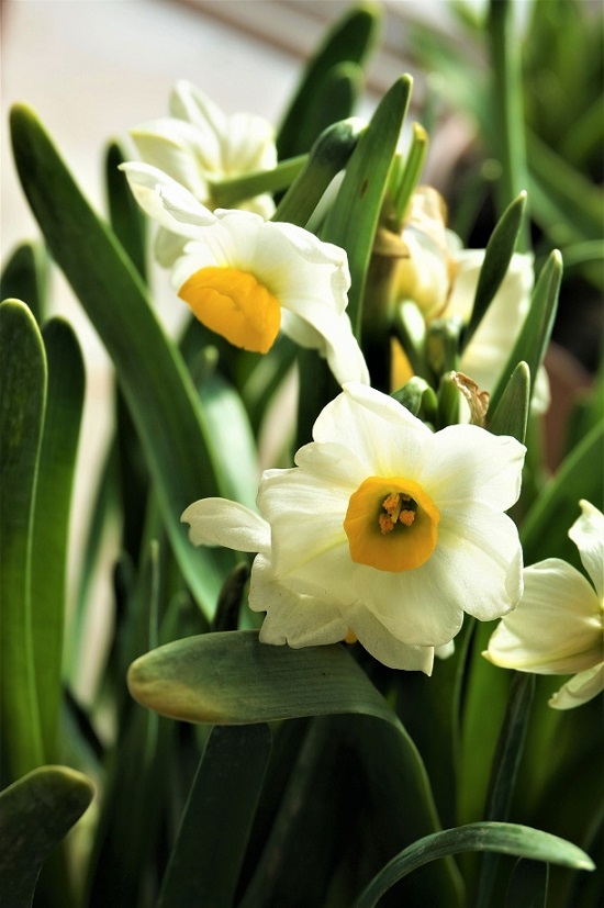 行攝京華大地——最美北京，在冬天