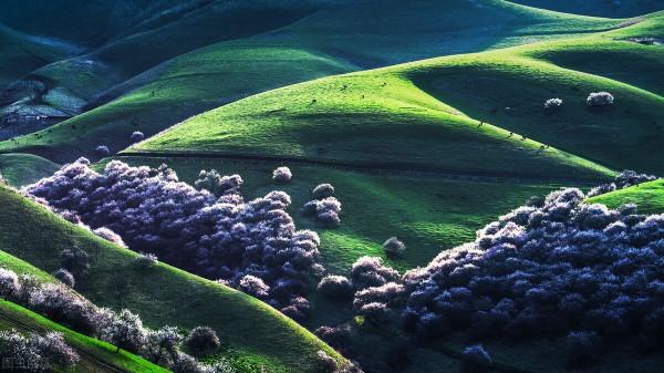 超出你想象的空中草原