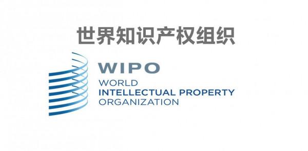 2021年汽車廠商專利註冊數量，豐田，福特，現代位列前三