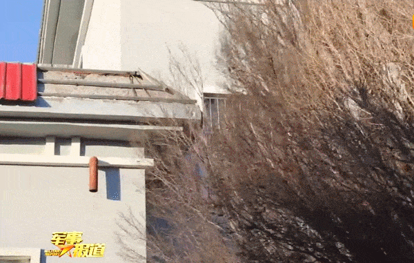 2021，謝謝你！最英勇的解放軍，最可愛的子弟兵