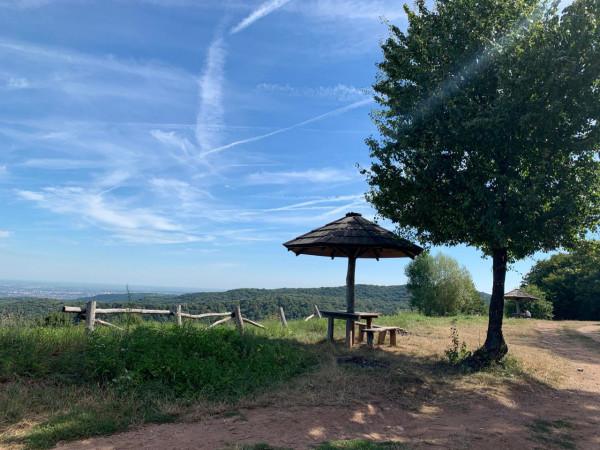 2019暑假塞爾維亞、波黑之旅（3）