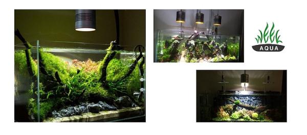 新手如何入門水族系列之五燈具的選擇 新手如何入門水族系列之五燈具的選擇