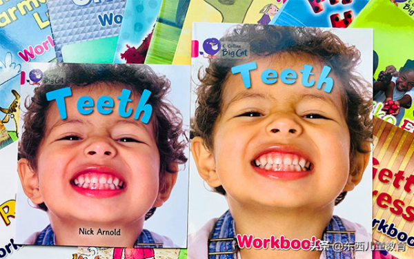 等了一年的分級閱讀王者:《大貓》來了 等了一年的分級閱讀王者:《大貓》來了