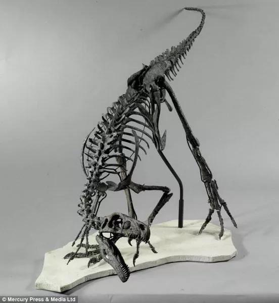 美國骨屋——由5796塊恐龍骨骼建成的小屋