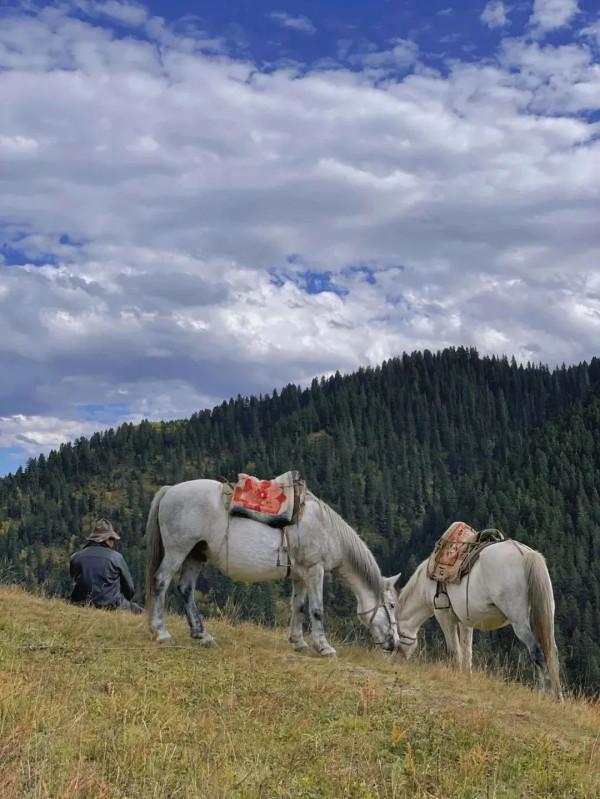 逃離城市！四川最美的10個神仙村落，第一個就心動了