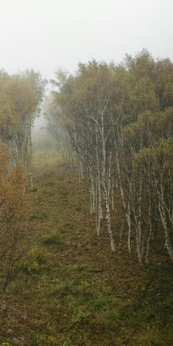 柳樹溝，碰上了下雨，灰濛濛的景色