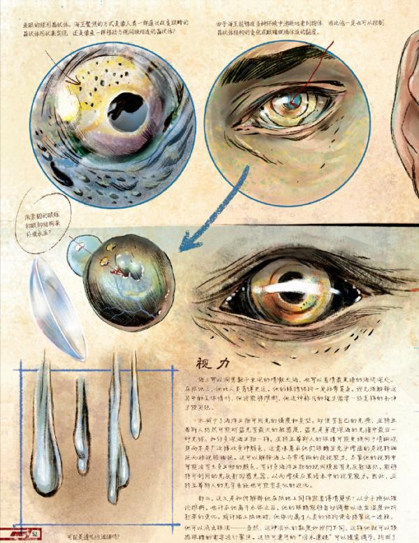 蝙蝠俠的絕密筆記：對超人類的身體研究，與潛在威脅的反制計劃