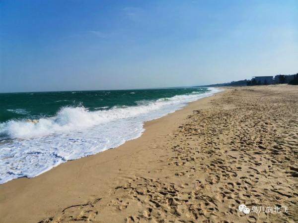 行走海南（10）在海南，看到了什麼 之 博鰲論壇+免稅店=？