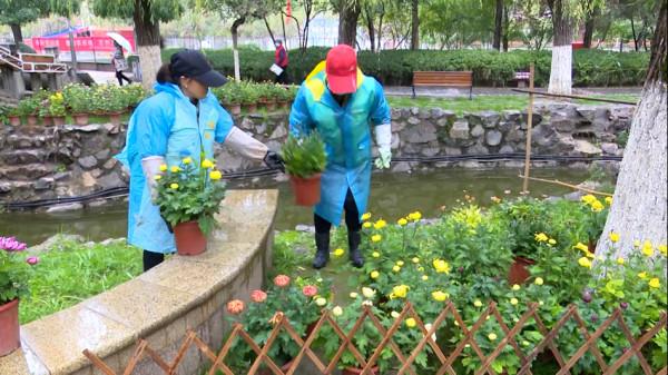 2021年秦州區金秋主題菊展14日開幕